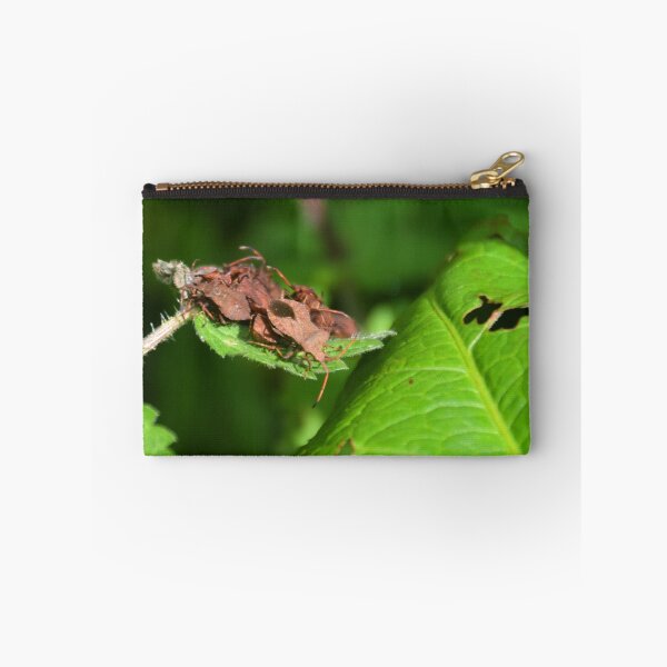 Item preview, How many Shield Bugs on one leaf, Lyme Dorset UK designed and sold by lynn carter.