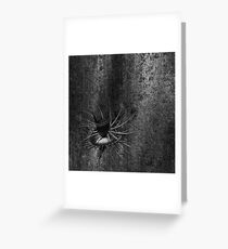 Time machine Greeting Card