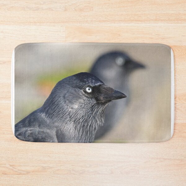 Item preview, Jackdaw eyes designed and sold by GreyFeatherPhot.