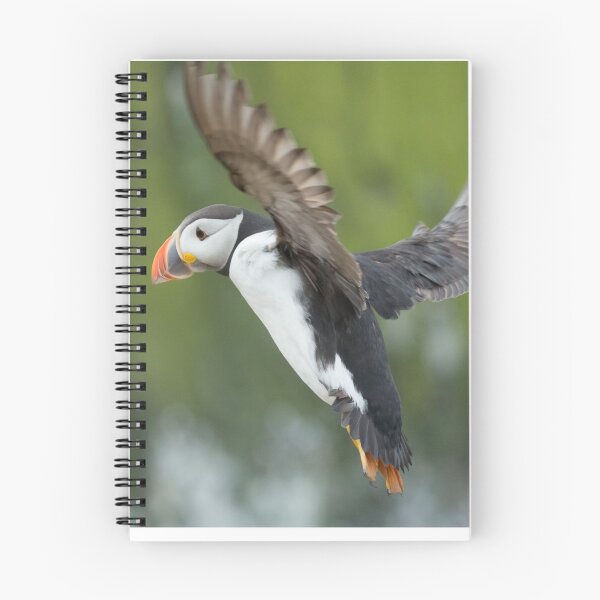Item preview, Puffin designed and sold by Chris Good.