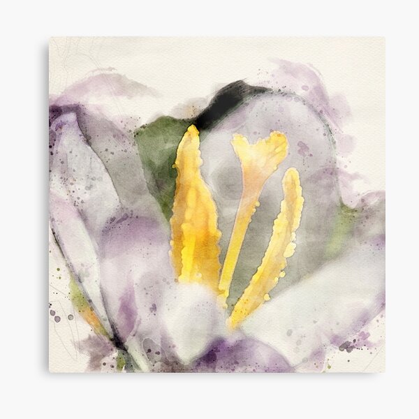 Lily Metal Print