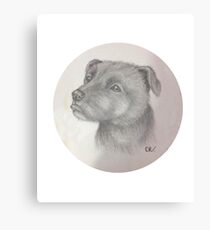 Staffordshire Bull Terrier 'Staffy' Canvas Print