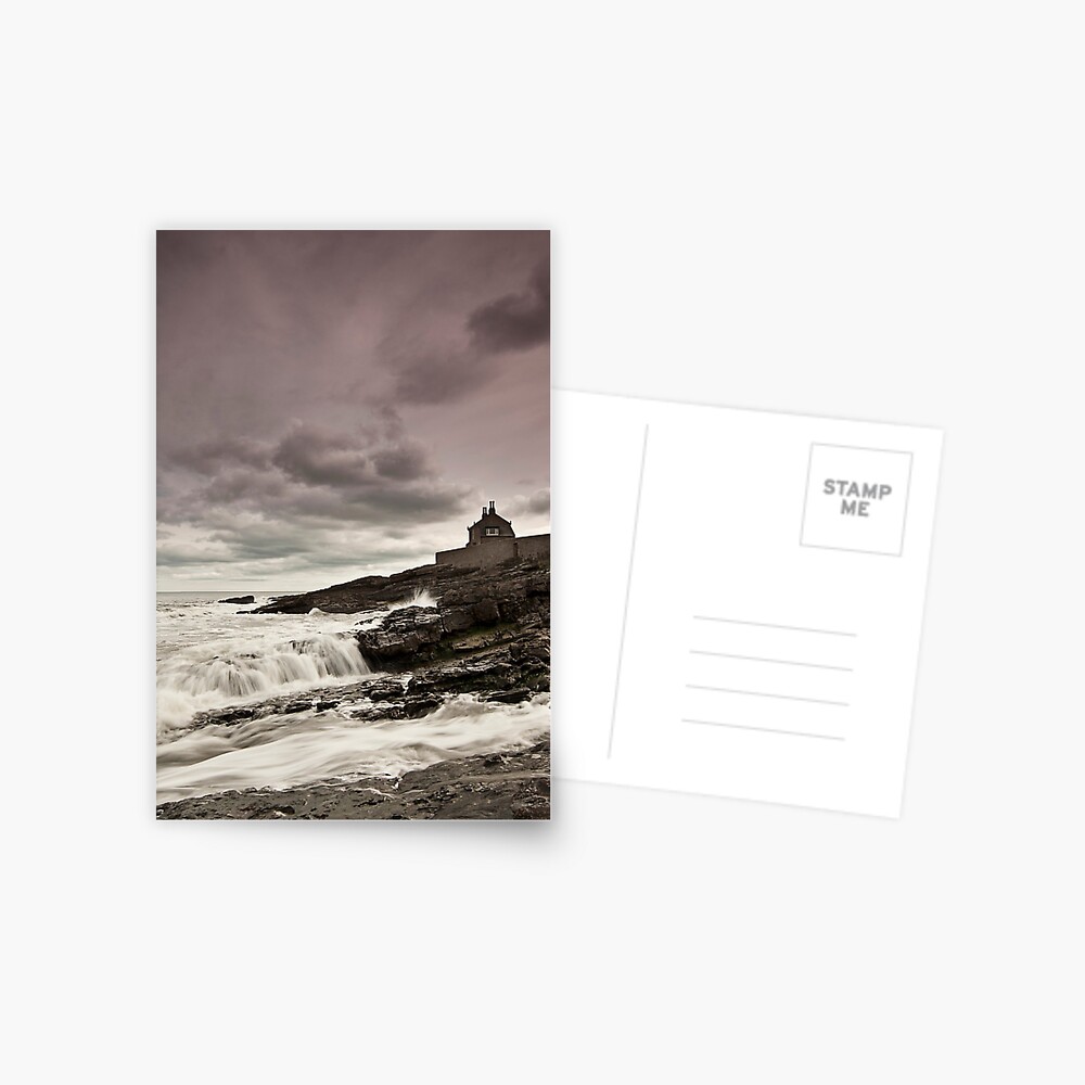 Item preview, Postcard designed and sold by tontoshorse.