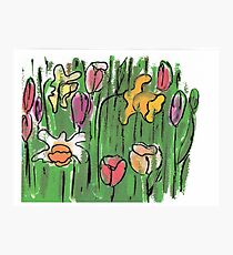 Spring Garden Photographic Print