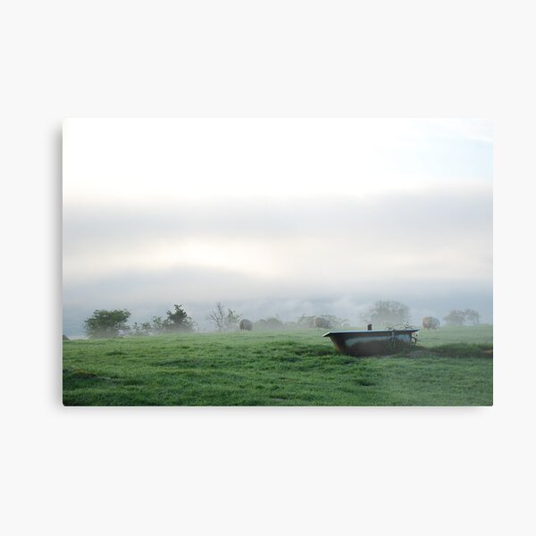 Baltyboys Bathtub Metal Print
