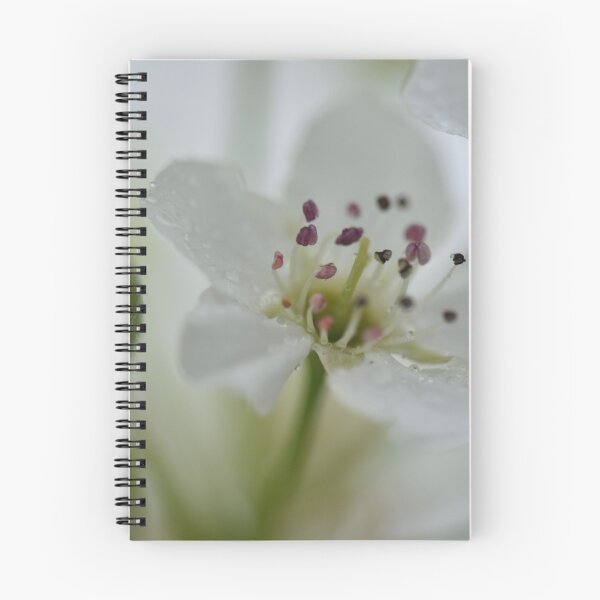 Item preview, Pretty White Blossom in the Rain designed and sold by imaginethis.