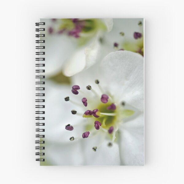 Item preview, Pretty Blossom Flowers in the Rain designed and sold by imaginethis.
