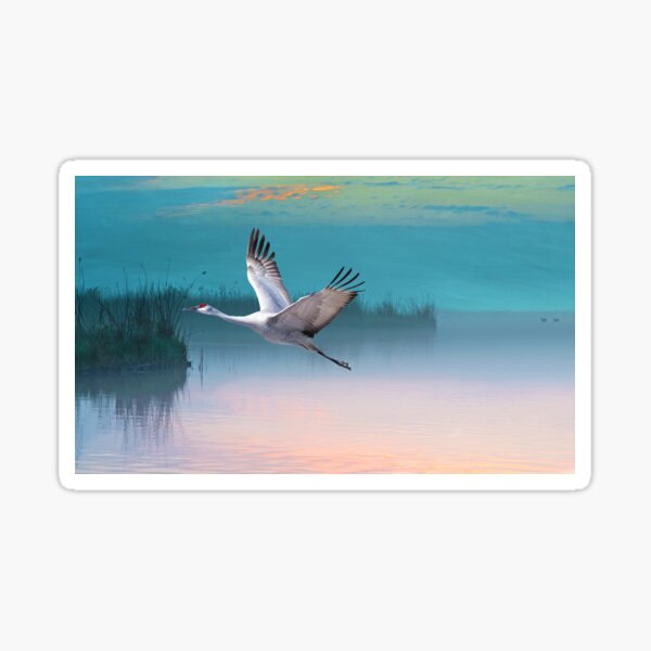 Item preview, Sandhill Crane and Misty Marshes designed and sold by FineArtography.