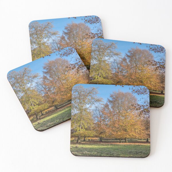 Item preview, Copper Beech Trees designed and sold by Jim Key.