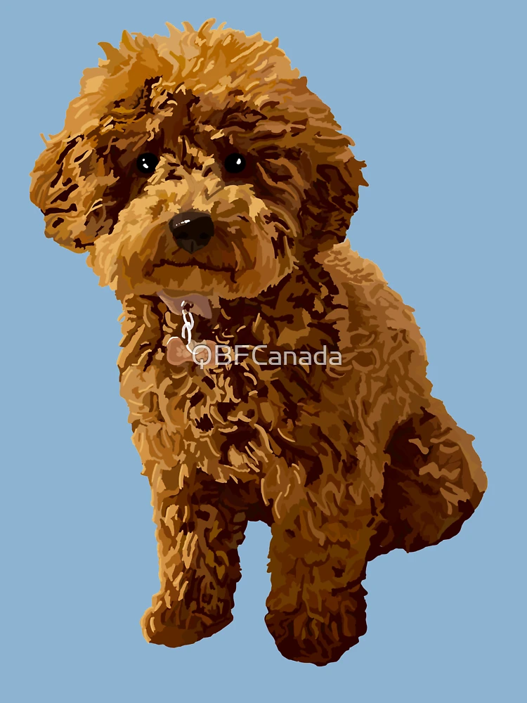 Ginger poodle outlet toy