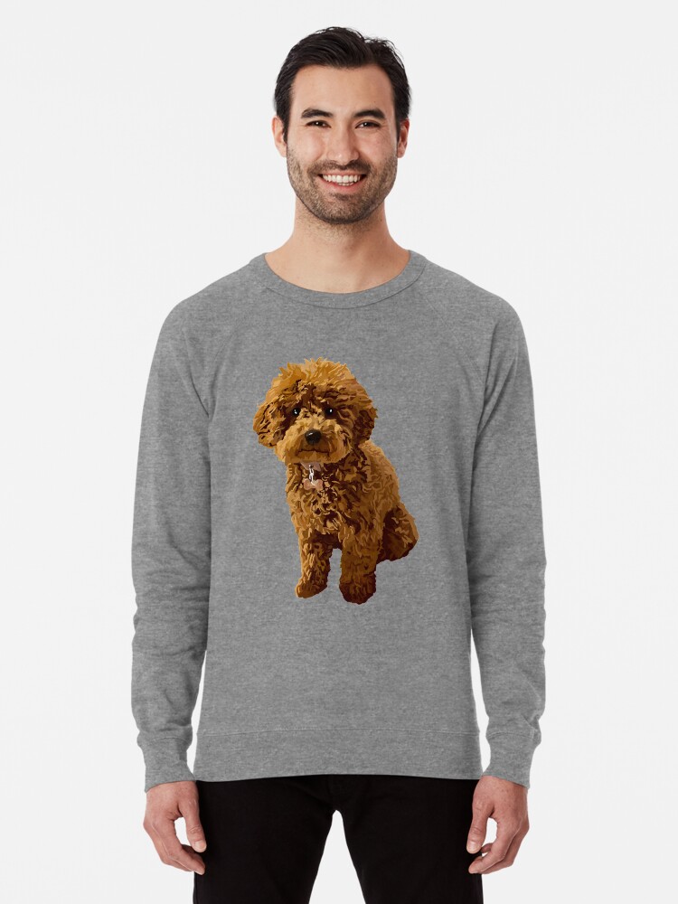 Ginger the Toy Poodle