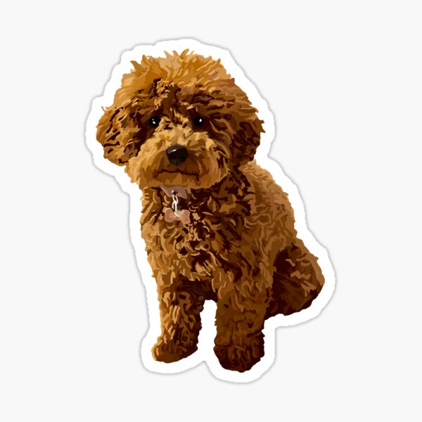 Ginger the Toy Poodle Sticker