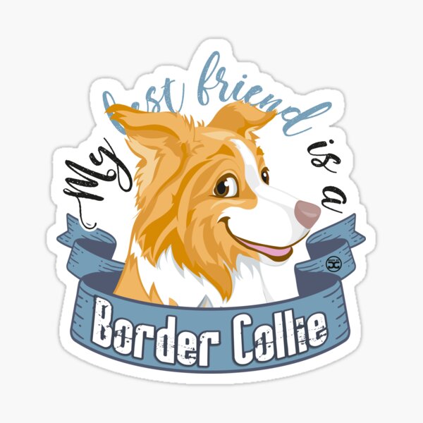 My Best Friend is a... Border Collie - Red Sticker