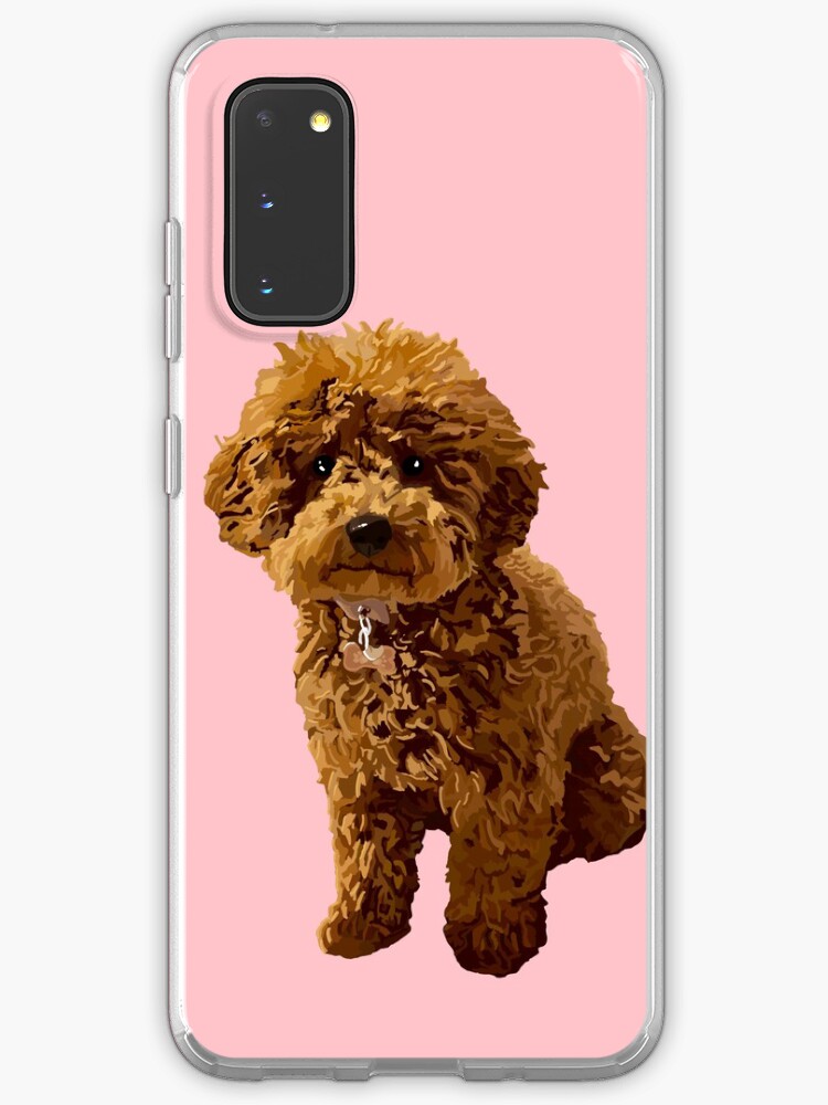 ginger miniature poodle