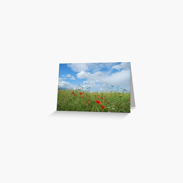 Field of Poppies Greeting Card