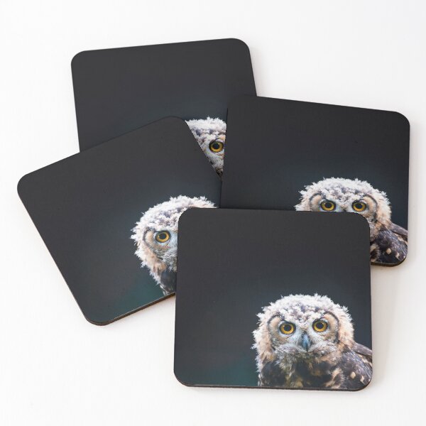 Item preview, MacKinder’s Eagle Owl designed and sold by Thomas F. Gehrke.