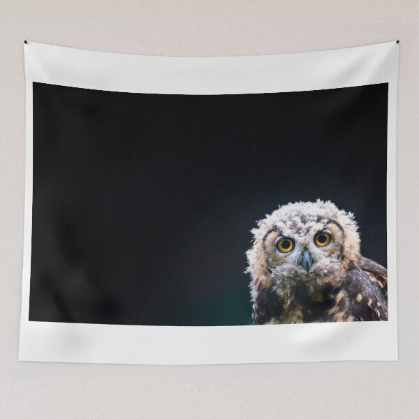 Item preview, MacKinder’s Eagle Owl designed and sold by Thomas F. Gehrke.
