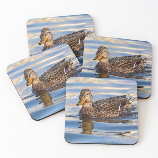 Item preview, Juvenile female mallard designed and sold by GreyFeatherPhot.
