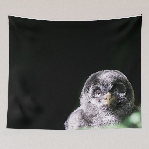 Item preview, Great Gray Owl designed and sold by Thomas F. Gehrke.