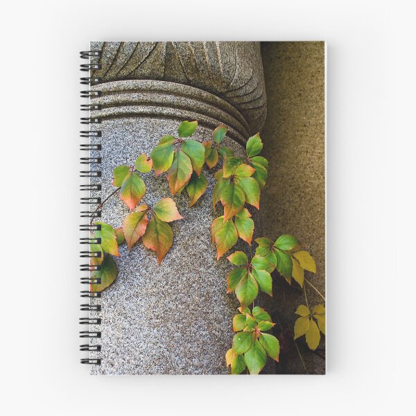 Item preview, Ivy League designed and sold by Katagram.