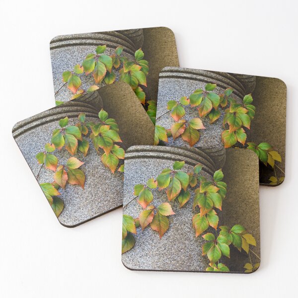 Item preview, Ivy League designed and sold by Katagram.