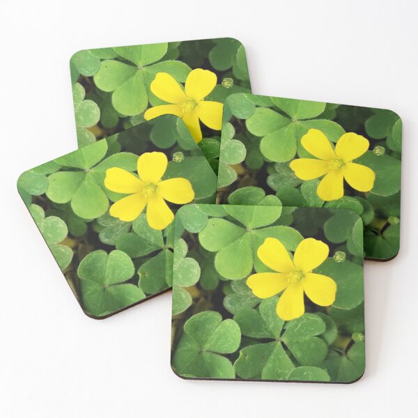 Item preview, Shamrocks with Flower designed and sold by MooseDogPhotos.