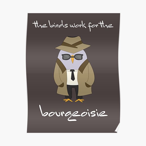 the birds work for the bourgeoisie meme detective Poster