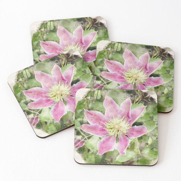 Item preview, Watercolour of pink Clematis Josephine in bloom. designed and sold by bailey-cooper.