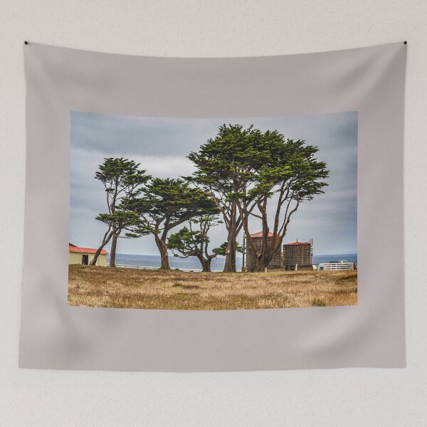 Item preview, The Trees at Point Arena designed and sold by Bryan Spellman.