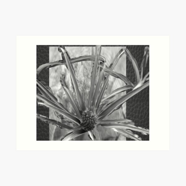baha.2 Art Print