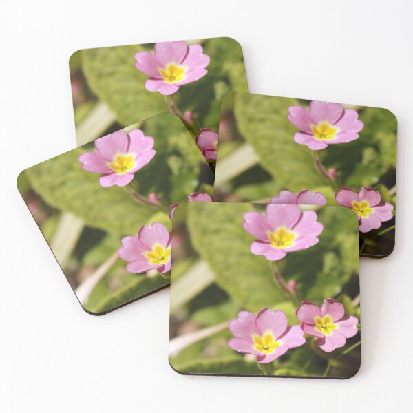 Item preview, Pink primroses designed and sold by pinkal.