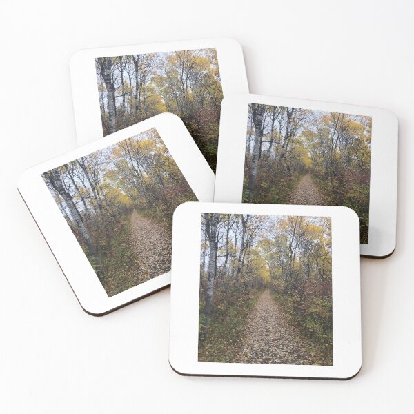 Item preview, Leafy Fall Trail in Assiniboine Forest designed and sold by GregFromThePeg.