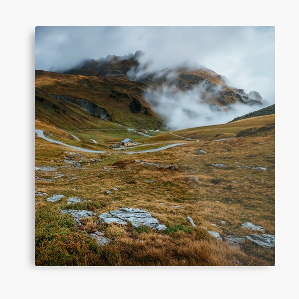 Winter is coming ! Metal Print
