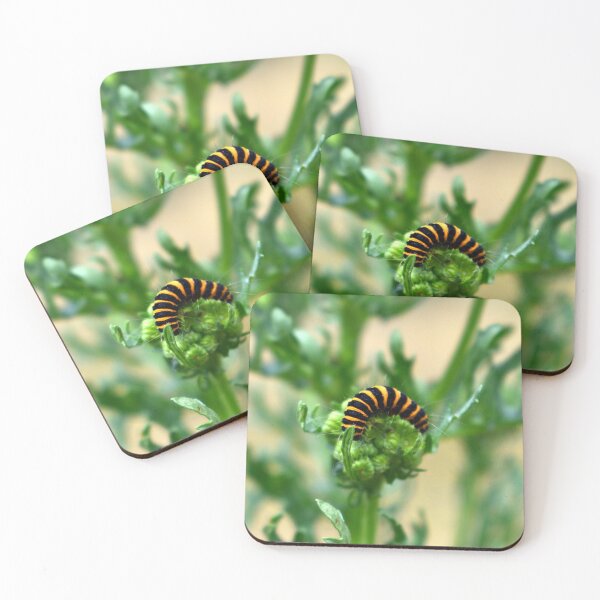 Item preview, Cinnabar moth caterpillar designed and sold by Flamefall.