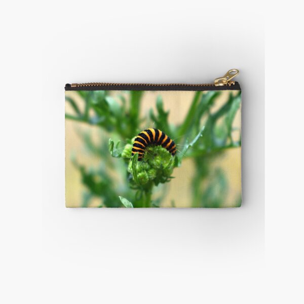 Item preview, Cinnabar moth caterpillar designed and sold by Flamefall.