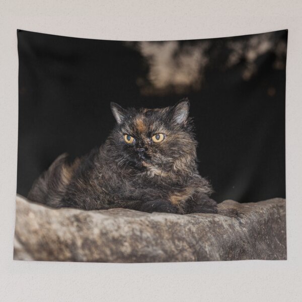 Item preview, Miss Lilly designed and sold by Withns.