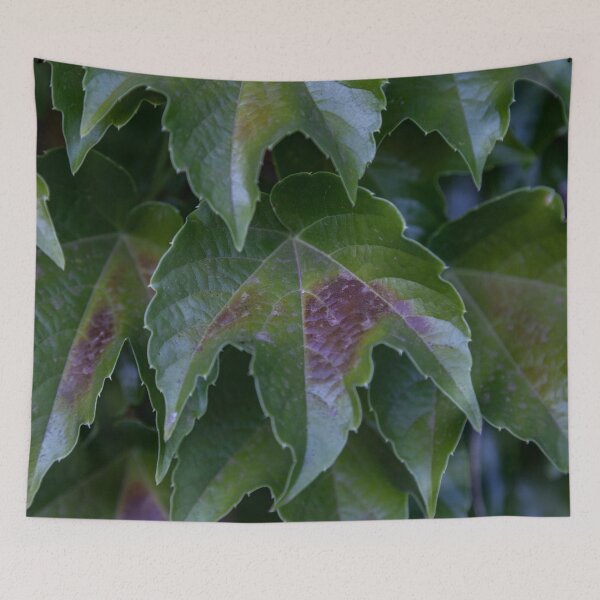 Item preview, Grape Leaf designed and sold by Withns.