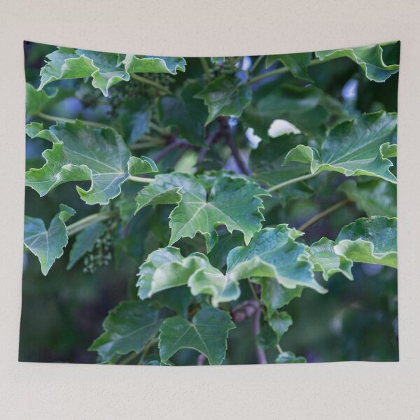 Item preview, Draped leaved designed and sold by Withns.