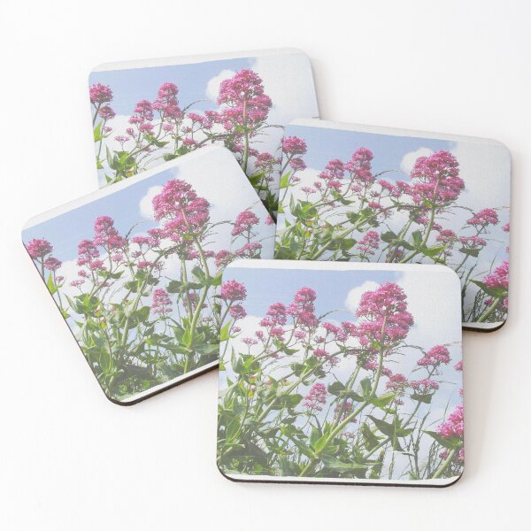 Item preview, Pink Canvass designed and sold by SkatingGirl.