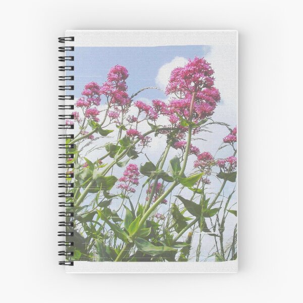 Item preview, Pink Canvass designed and sold by SkatingGirl.