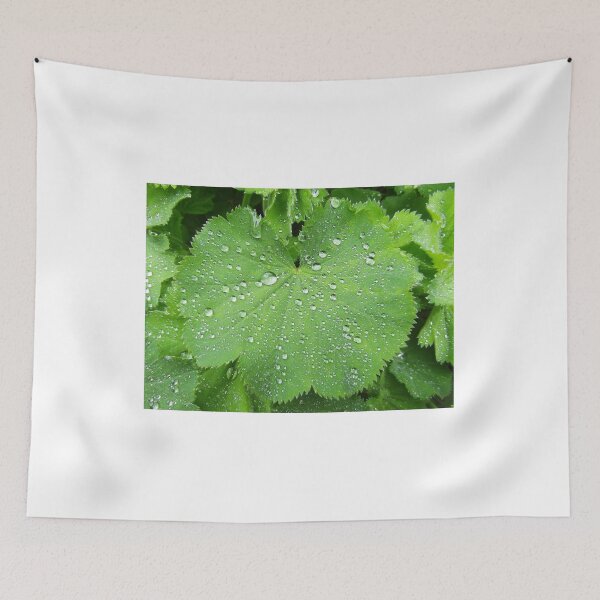 Item preview, Water Drops designed and sold by SkatingGirl.
