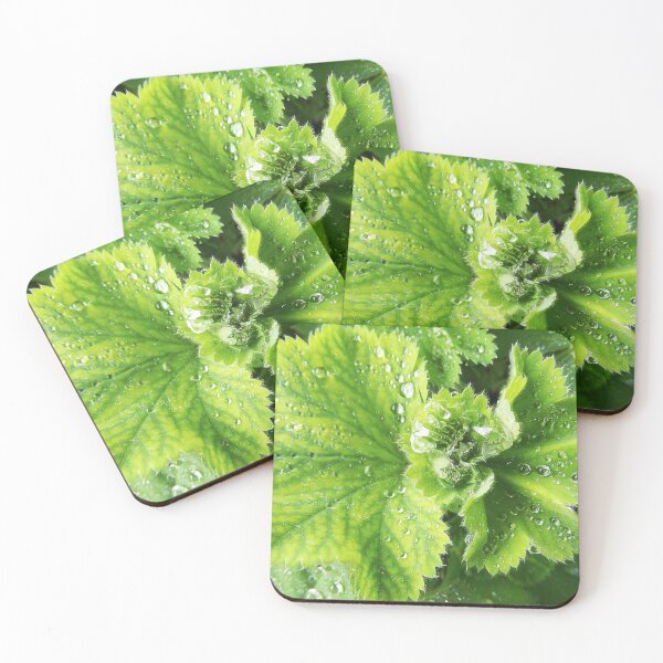 Item preview, Leaf In The Rain designed and sold by SkatingGirl.