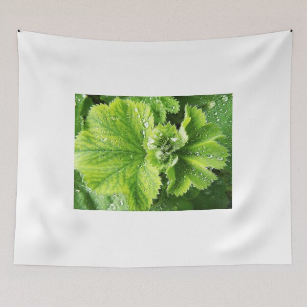 Item preview, Leaf In The Rain designed and sold by SkatingGirl.