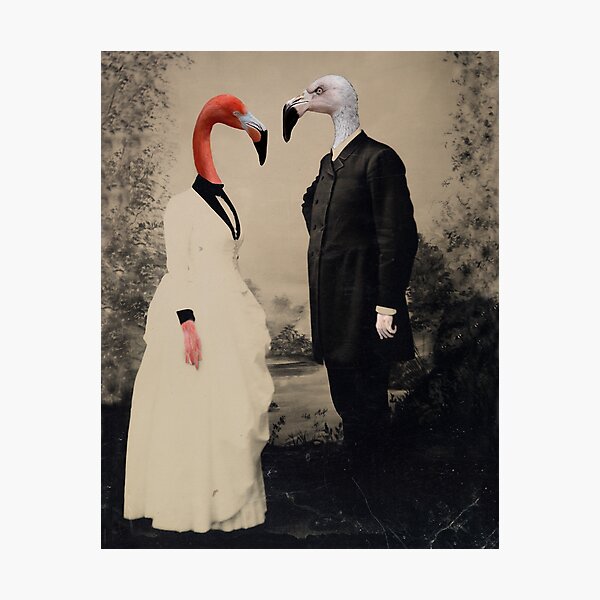 Item preview, Flamingo Love designed and sold by Loveday Funck.