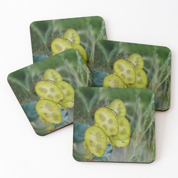 Item preview, Money Plant designed and sold by webster7.