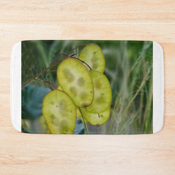 Item preview, Money Plant designed and sold by webster7.