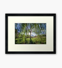 Weep Willow, Weep Framed Print