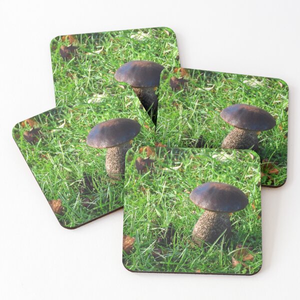 Item preview, Brown Birch Bolete ( Leccinum Scabrum ) designed and sold by wiggyofipswich.