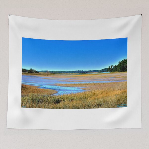 Item preview, South Carolina Lowcountry Hdr designed and sold by LisaWootenPhoto.