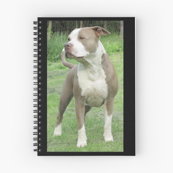 Item preview, 'PR' York's Buster designed and sold by Ginny York.